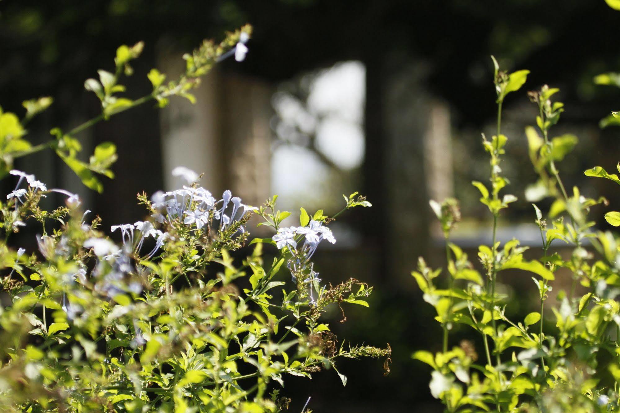 Torburnlea Homestead Luxury Accommodation Mbombela Bagian luar foto